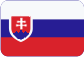 Lanové sítě Slovensky